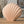 Moderne Herzmuschel-Vase für stilvolle Wohndekoration