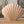 Moderne Herzmuschel-Vase für stilvolle Wohndekoration